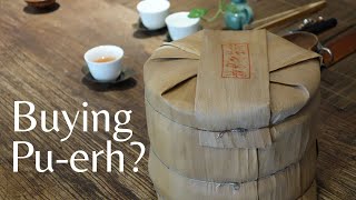 TIPS on BUYING PUERH Tea (How to Buy for Aging)