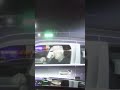 Police Pit Maneuver Rolling Pharmacy