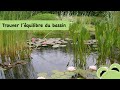 Comment obtenir lquilibre dun bassin crer un biotope 