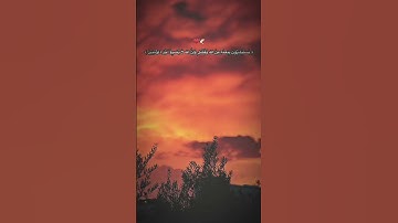 سورة آل عمران آيه {171}