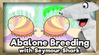 Abalone Breeding | Part Four | Aquarium of the Pacific