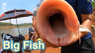 3 Ngày Câu Cá Tại Đập Thuỷ Điện Và Cái Kết| Fishing pro
