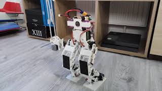 Homemade Biped Robot First Test