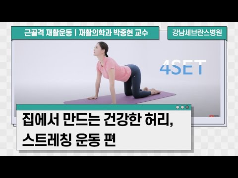 건강한 허리를 위한 스트레칭ㅣ근골격 재활운동 홈트레이닝