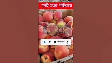 Using Ai to Combine fruits into EXISTING Animals #shorts #ai #aiart #fruits  #animals #funny