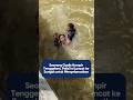Gadis hampir tenggelam, polisi ini lompat ke sungai untuk menyelamatkannya😱😱😱
