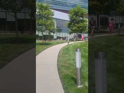 Heading For My Echo Health Heart