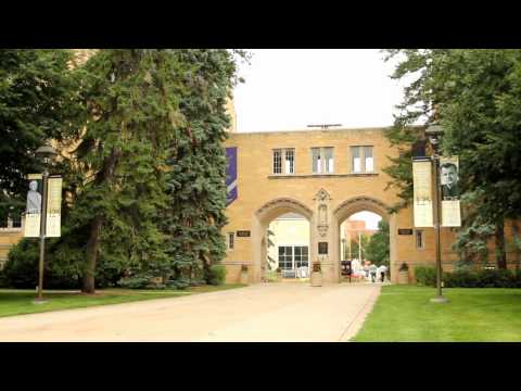 The Arches | University of St. Thomas | One of the Top Midwest Universities