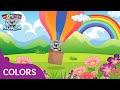 WonderKoala! Learn the COLORS 🟣🔵🟢🟡🔴 with WonderKoala | Aprende los colores en INGLÉS