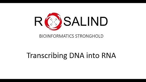 ROSALIND ID: RNA - TRANSCRIBING DNA INTO RNA - PYTHON