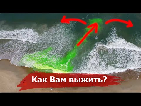 Этот Феномен на
