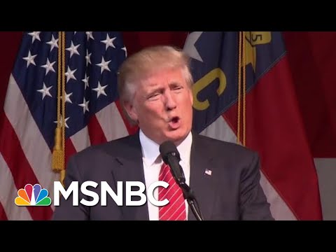 Donald Trump Claims "I Could Run" Robert Mueller Investigation "If I Want" | The Last Word | MSNBC