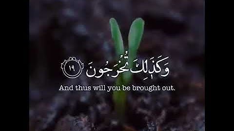 سورة الروم الآية 19