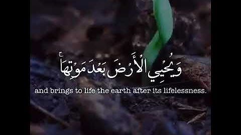 سورة الروم الآية 19