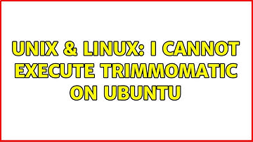 Unix & Linux: I cannot execute trimmomatic on ubuntu