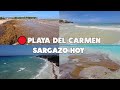 Playa del carmenultima hora hoy 14 mayo 2024  asi estan las playas