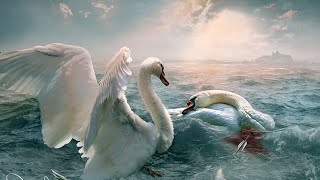 Hopelessly Devoted to You - John Michael Friedrich - Message and Lyrics below 👇