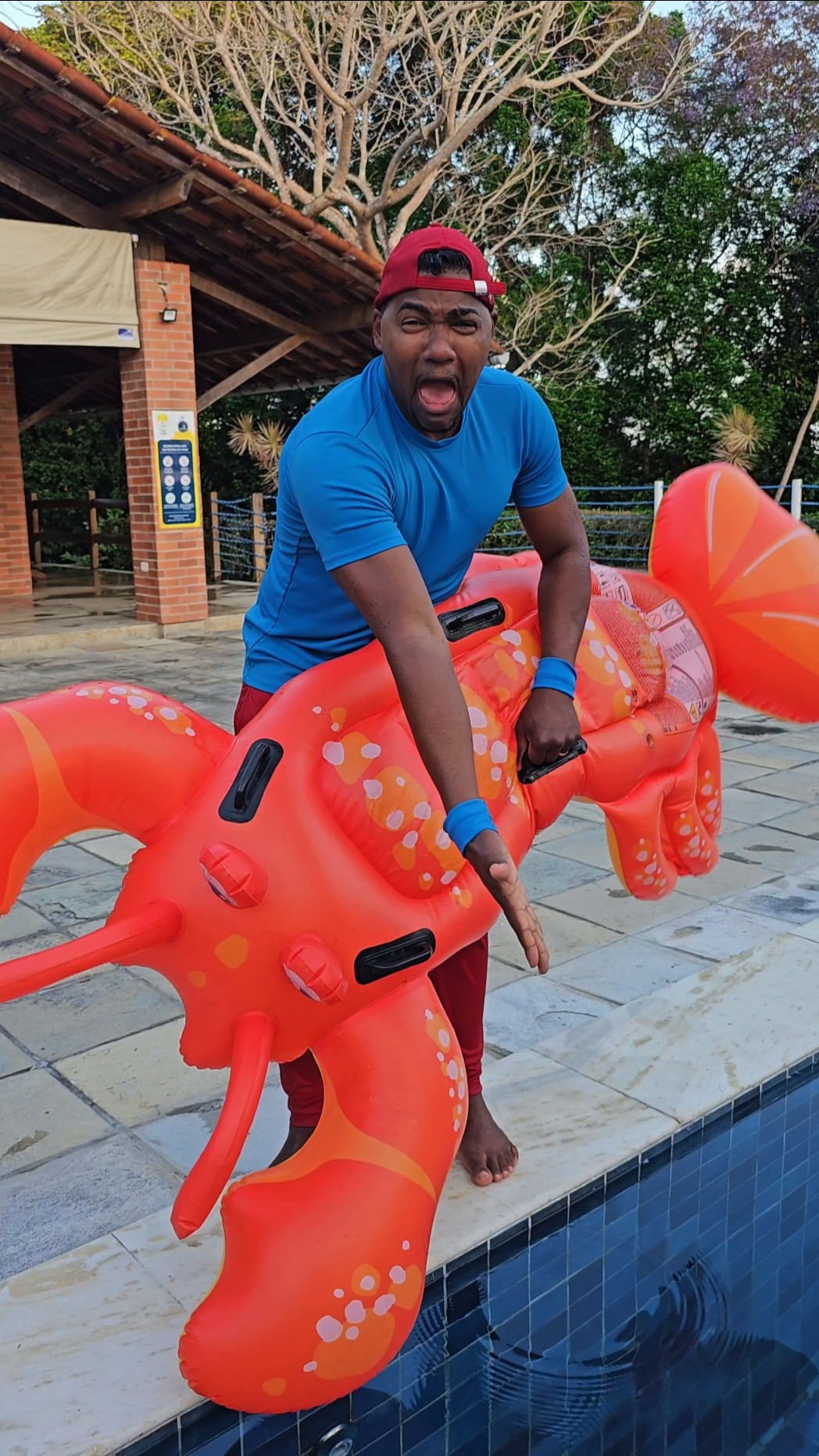 Não Pule na Piscina ???? #funny