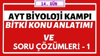 Bitki Konu Anlatımı Ve Soru Çözümleri 1 Ayt Bi̇yoloji̇ Kampi 14Gün 