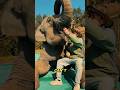 😱‼️the moment when elephants act spoiled#Shorts