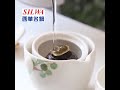 西華SILWA 漂浮星球隨行泡茶杯組(花色款) 旅行便攜茶具 product youtube thumbnail