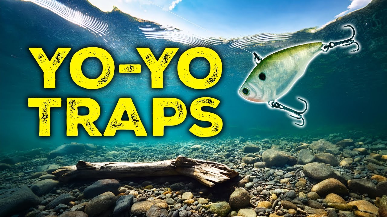 How to Effectively Jig (Yo-Yo) Lipless Crankbaits – Everything You Need To Know