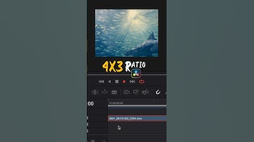 4x3 Aspect Ratio in DaVinci Resolve