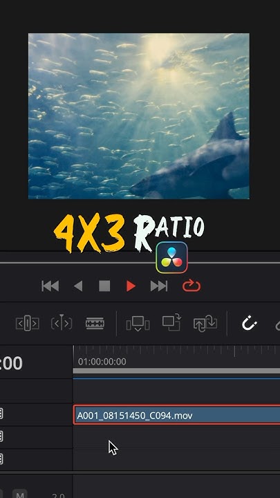 4x3-aspect-ratio-in-davinci-resolve-youtube
