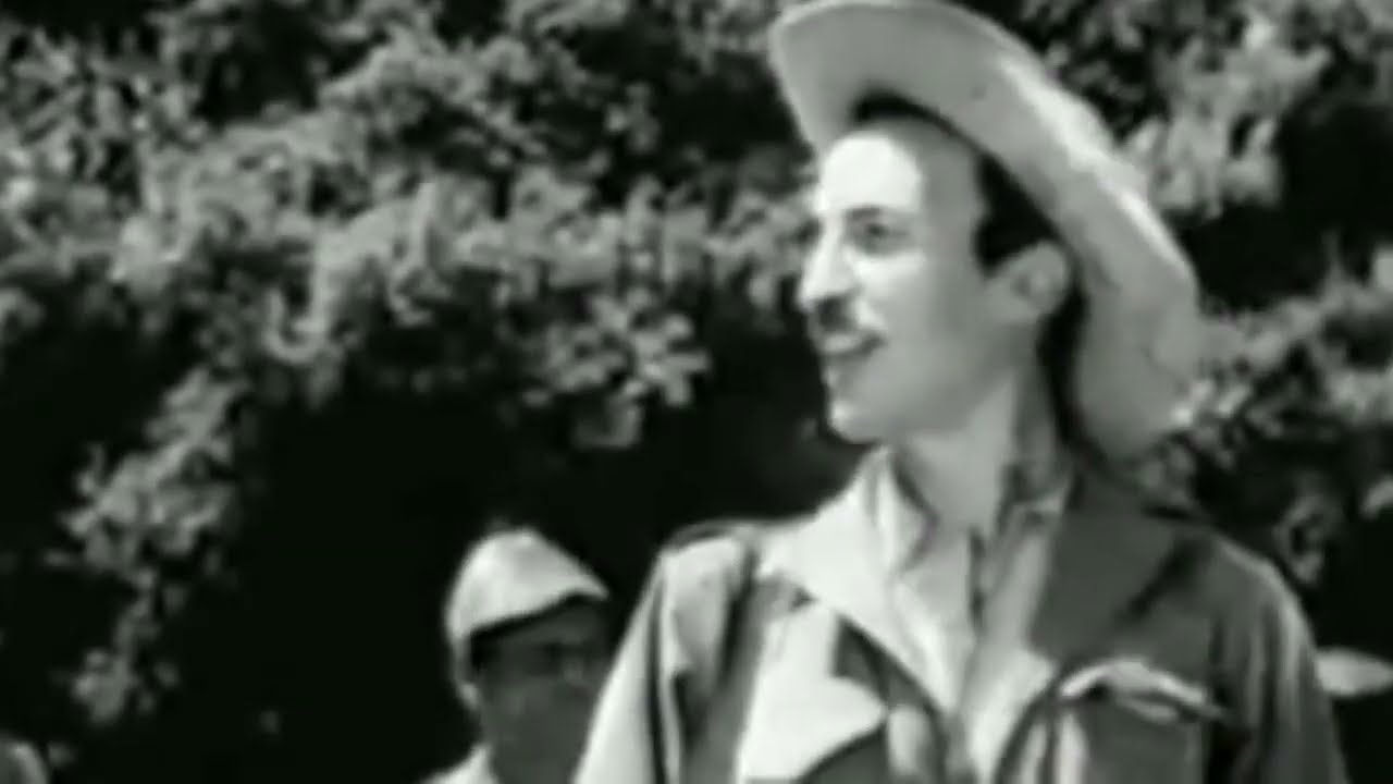 اليوم العالمي للحماية المدنيّـة/ تبسّة