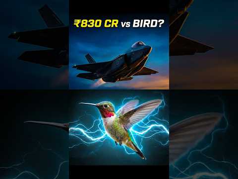 ₹830 Crore Fighter Jet vs Hummingbird 😳 | Nature Broke Physics #shorts