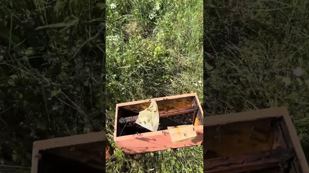 Αφεσμος …πάντα μαντηλάκια μαζί μας …ποτέ δε ξέρεις πότε θα τα χρειαστείς …κ ναι κάνουν δουλειά