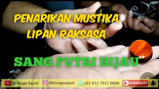PENARIKAN MUSTIKA LIPAN RAKSASA SANG PUTRI HIJAU // UJUNG TANJUNG, BATAM
