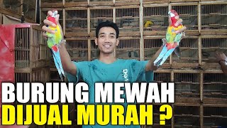 Review Perbedaan Lem Kayu Alifatik PRESTO dan Lem Kayu Kertas FOX Putih Bungkus