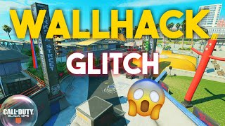 WALLHACK ON GRIND GLITCH BO4