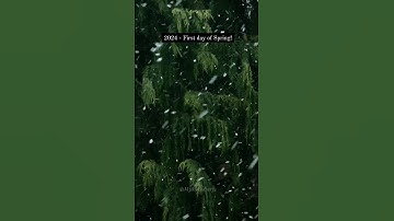 2024- First day of spring in the Northern Hemisphere | Spring Equinox | Nature| Ontario |Canada