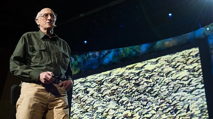史都華.布蘭德(Stewart Brand): 終止滅絕的黎明。你準備好了嗎? - 天天要聞