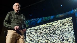 Stewart Brand: The dawn of de-extinction. Are you ready?(Throughout humankind's history, we've driven species after species extinct: the passenger pigeon, the Eastern mountain lion, the dodo .... But now, says Stewart ..., 2013-03-13T15:17:11.000Z)