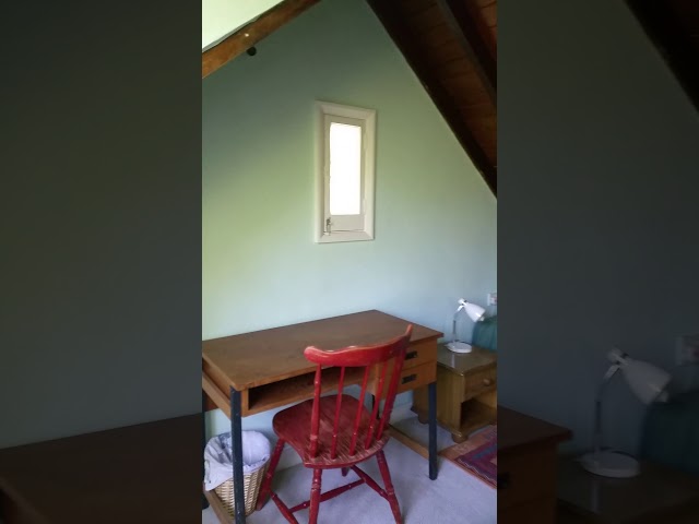 Single room to let Main Photo