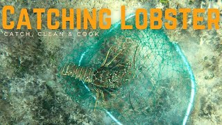 Finally a Successful Lobster Day! | Catch, Clean and Cook