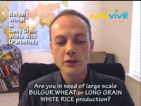 purchase-bulk-bulgur-wheat,-long-grain-white-rice-supply,-feed-bulgur-wheat,-long-grain-white-rice