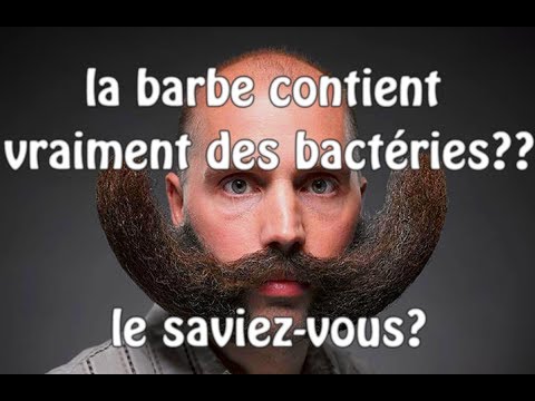 la-barbe-contient-vraiment-des-bactéries?-vrai-ou-faux?-▐-Pa