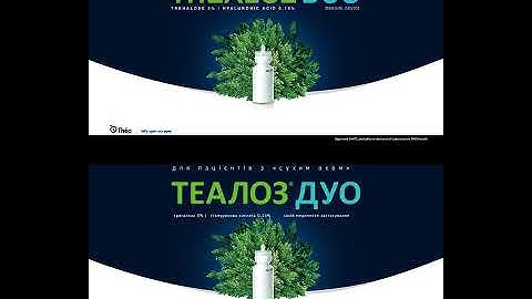 Translation of text in video into another language