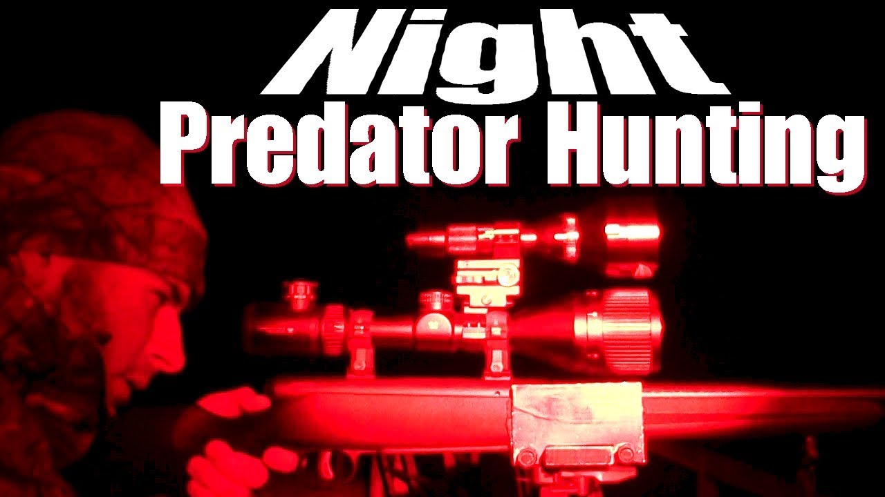 PA Night Predator Hunting 12819 YouTube
