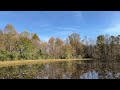 Adam S Autumn Song 
