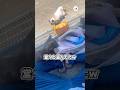 堂々と盗んでたw｜PECO