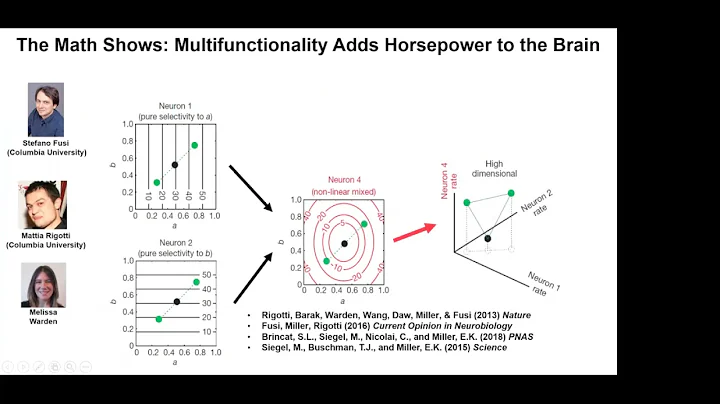 Cognition is Rhythm | Earl Miller | Transatlantic Systems Neuroscience Seminar 9.11.2021