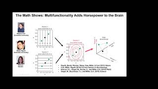 Cognition is Rhythm | Earl Miller | Transatlantic Systems Neuroscience Seminar 9.11.2021
