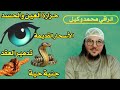 رقية قوية خروج العين والحسد تدمير العقد المعقودة بإحكام الأسحار القديمة حرق جنية حية قوية لرجال 