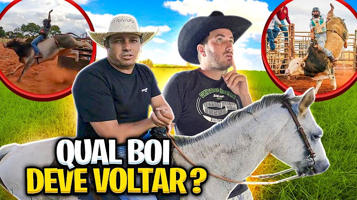 O GERENTE  VAI VER OS BOIS QUE VÃO  PARA O Frigoríficos