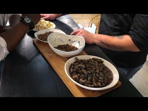 Vidéo: Un Restaurant En Afrique Du Sud Sert Uniquement Des Repas Gastronomiques à Base D'insectes